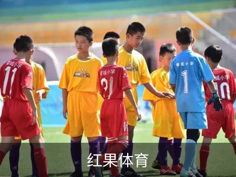 走进红果体育